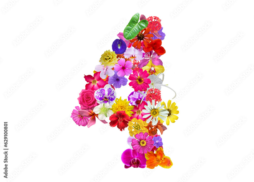 The shape of the number 4 is made of various kinds of flowers petals isolated on transparent background. suitable for birthday, anniversary and memorial day templates The shape of the number 4 is made of various kinds of flowers petals isolated on transparent background. suitable for birthday, anniversary and memorial day templates