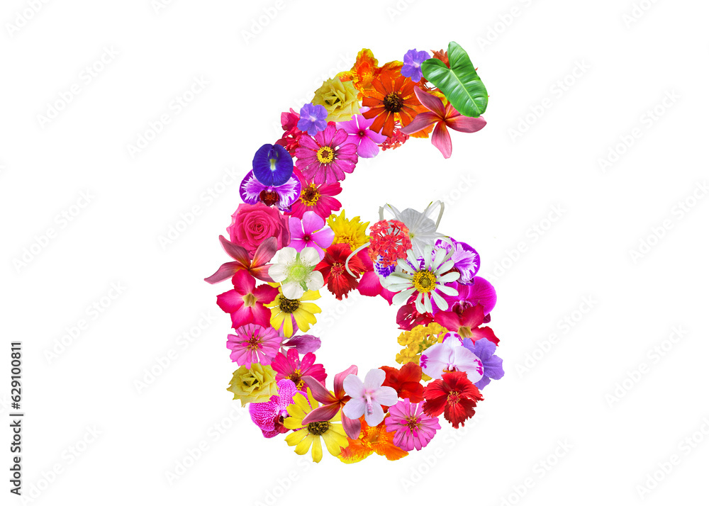 The shape of the number 6 is made of various kinds of flowers petals isolated on transparent background. suitable for birthday, anniversary and memorial day templates