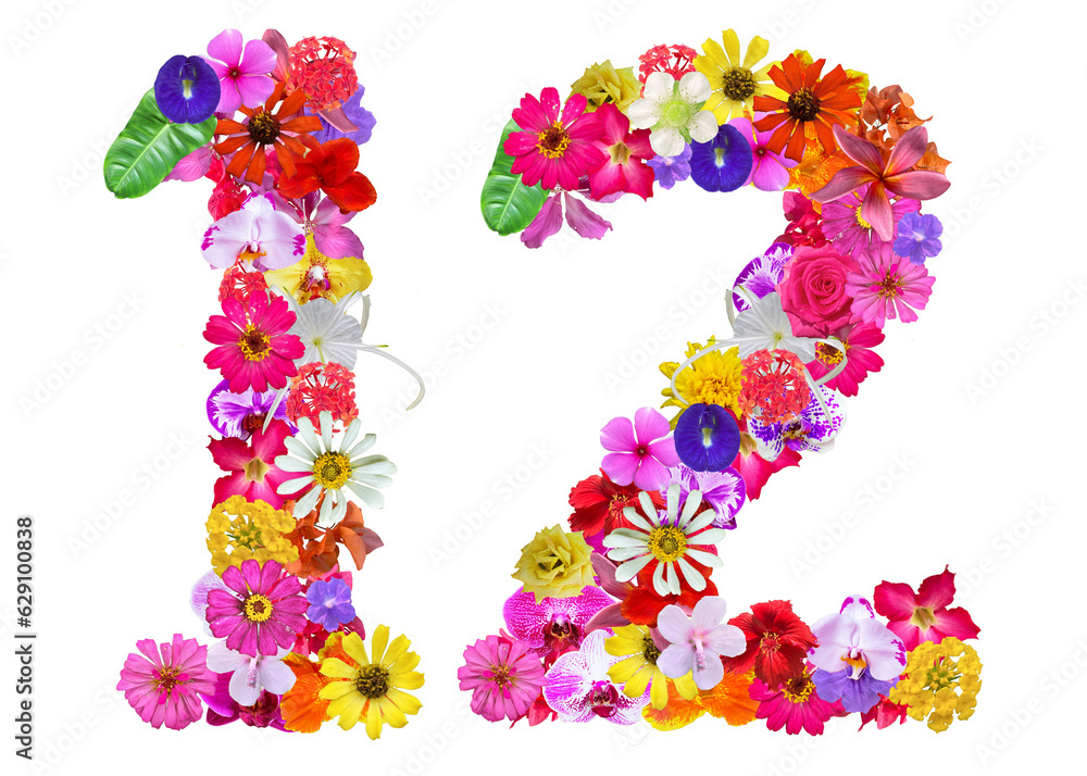 The shape of the number 12 is made of various kinds of flowers petals isolated on transparent background. suitable for birthday, anniversary and memorial day templates The shape of the number 12 is made of various kinds of flowers petals isolated on transparent background. suitable for birthday, anniversary and memorial day templates