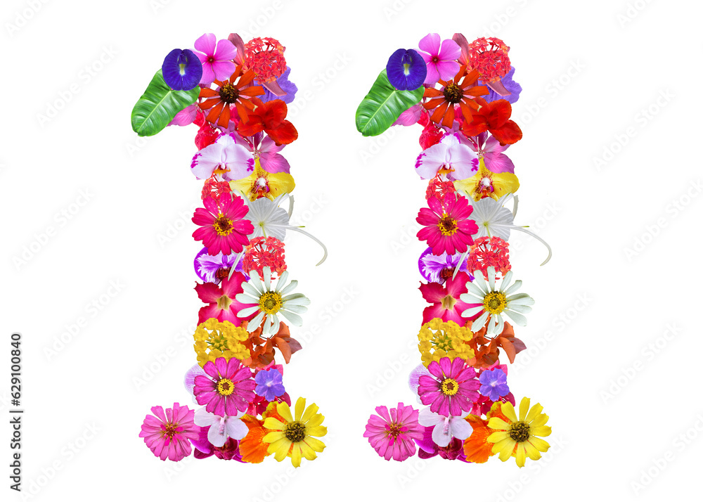 The shape of the number 11 is made of various kinds of flowers petals isolated on transparent background. suitable for birthday, anniversary and memorial day templates The shape of the number 11 is made of various kinds of flowers petals isolated on transparent background. suitable for birthday, anniversary and memorial day templates