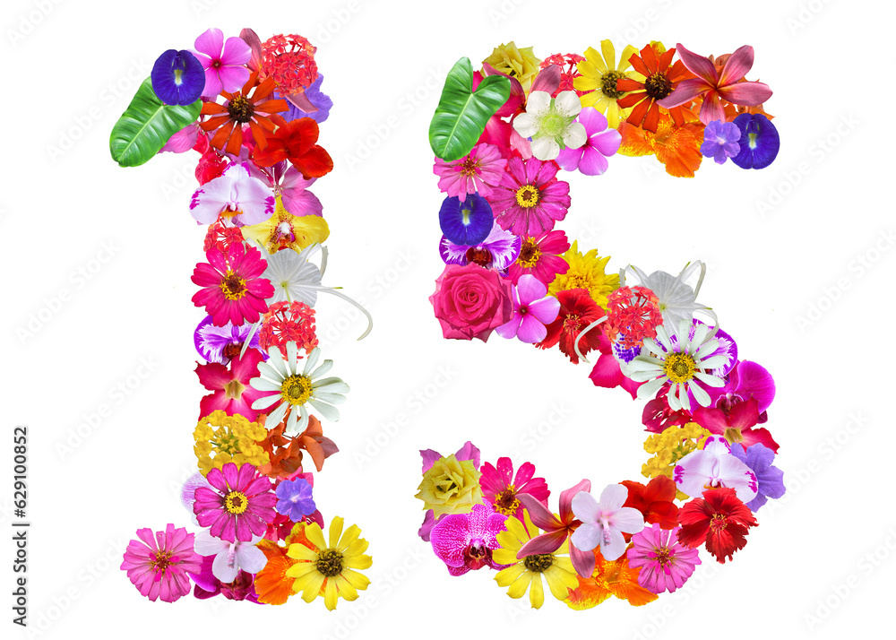 The shape of the number 15 is made of various kinds of flowers petals isolated on transparent background. suitable for birthday, anniversary and memorial day templates The shape of the number 15 is made of various kinds of flowers petals isolated on transparent background. suitable for birthday, anniversary and memorial day templates