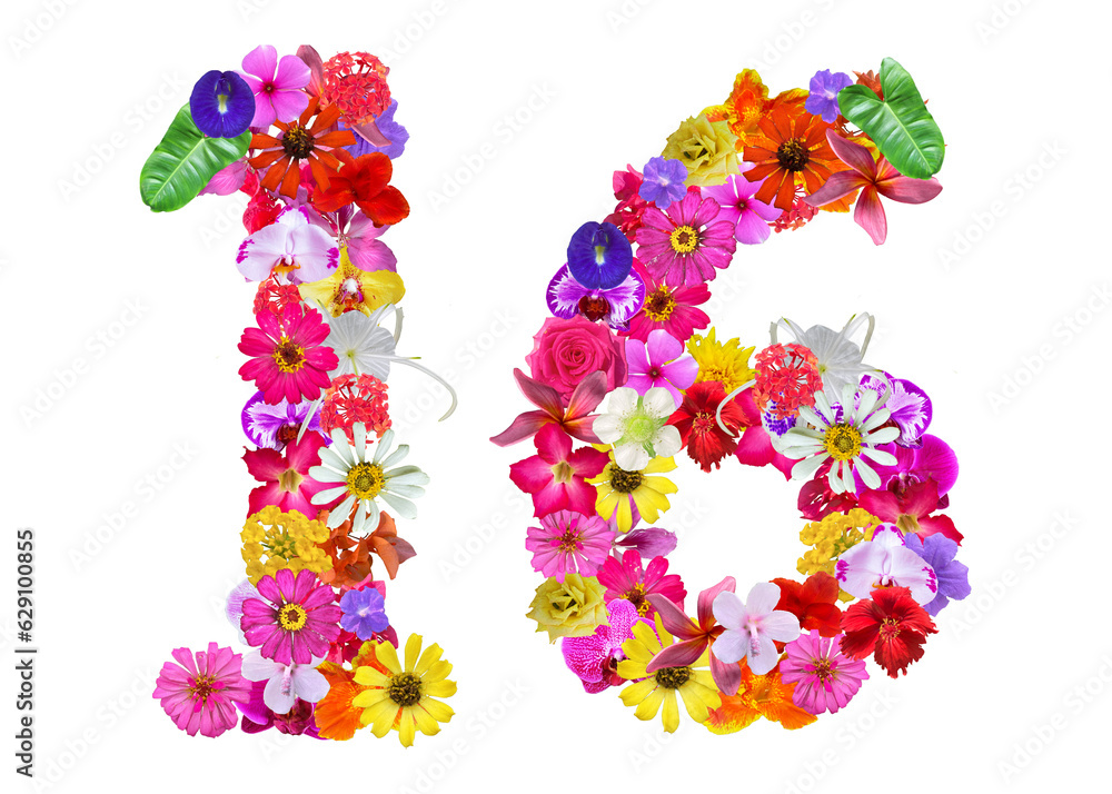 The shape of the number 16 is made of various kinds of flowers petals isolated on transparent background. suitable for birthday, anniversary and memorial day templates
