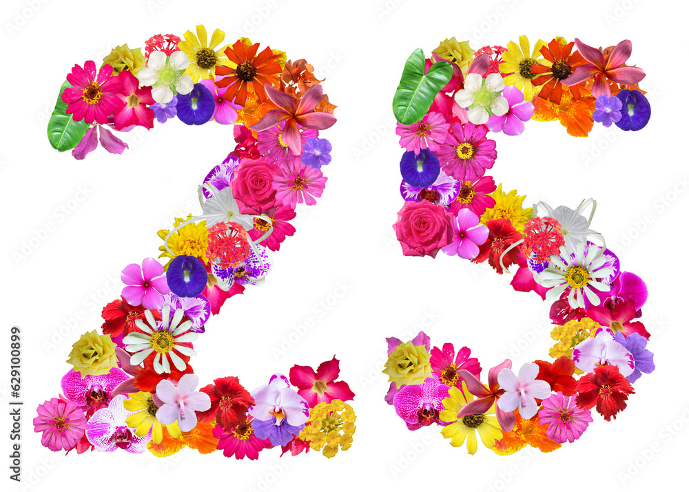 The shape of the number 25 is made of various kinds of flowers petals isolated on transparent background. suitable for birthday, anniversary and memorial day templates The shape of the number 25 is made of various kinds of flowers petals isolated on transparent background. suitable for birthday, anniversary and memorial day templates