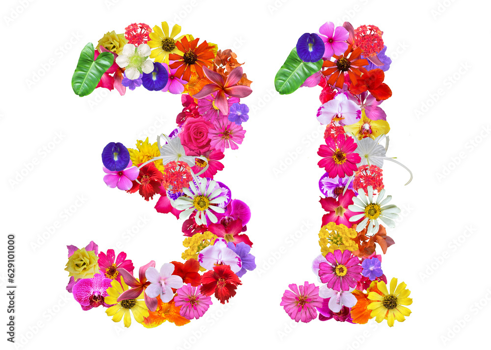 The shape of the number 31 is made of various kinds of flowers petals isolated on transparent background. suitable for birthday, anniversary and memorial day templates