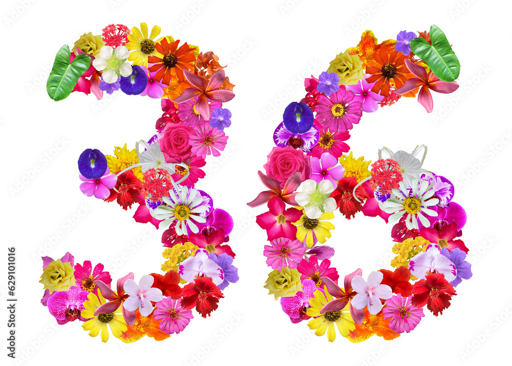 The shape of the number 36 is made of various kinds of flowers petals isolated on transparent background. suitable for birthday, anniversary and memorial day templates The shape of the number 36 is made of various kinds of flowers petals isolated on transparent background. suitable for birthday, anniversary and memorial day templates