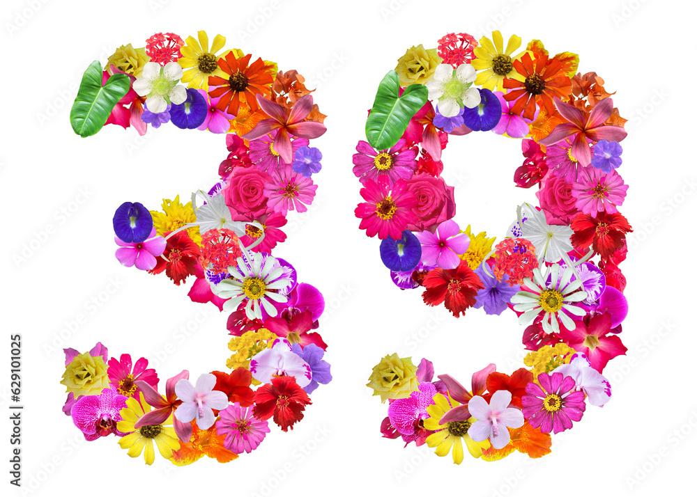 The shape of the number 39 is made of various kinds of flowers petals isolated on transparent background. suitable for birthday, anniversary and memorial day templates