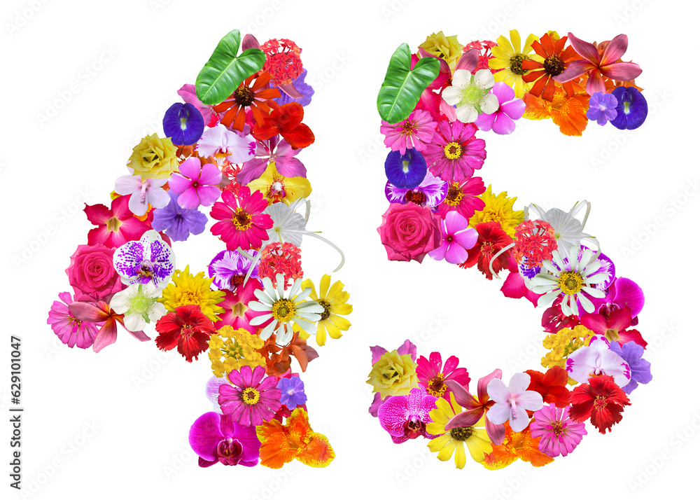 The shape of the number 45 is made of various kinds of flowers petals isolated on transparent background. suitable for birthday, anniversary and memorial day templates The shape of the number 45 is made of various kinds of flowers petals isolated on transparent background. suitable for birthday, anniversary and memorial day templates