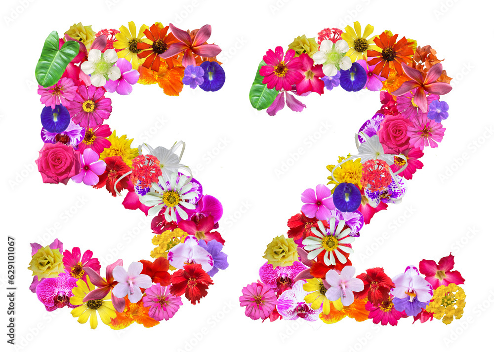 The shape of the number 52 is made of various kinds of flowers petals isolated on transparent background. suitable for birthday, anniversary and memorial day templates