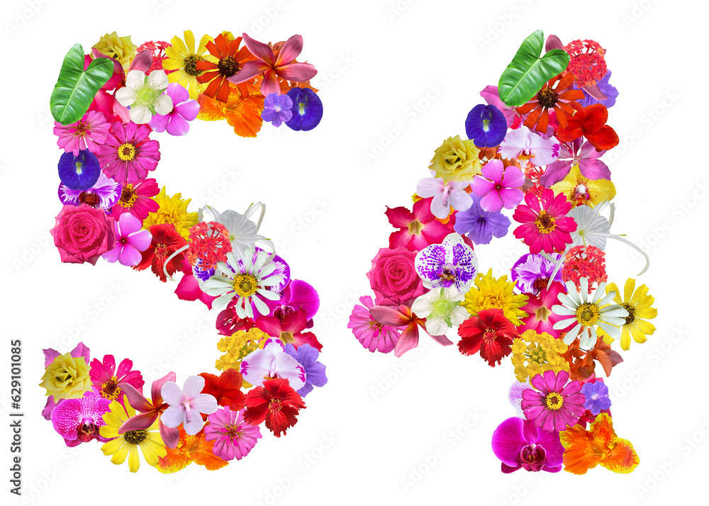 The shape of the number 54 is made of various kinds of flowers petals isolated on transparent background. suitable for birthday, anniversary and memorial day templates