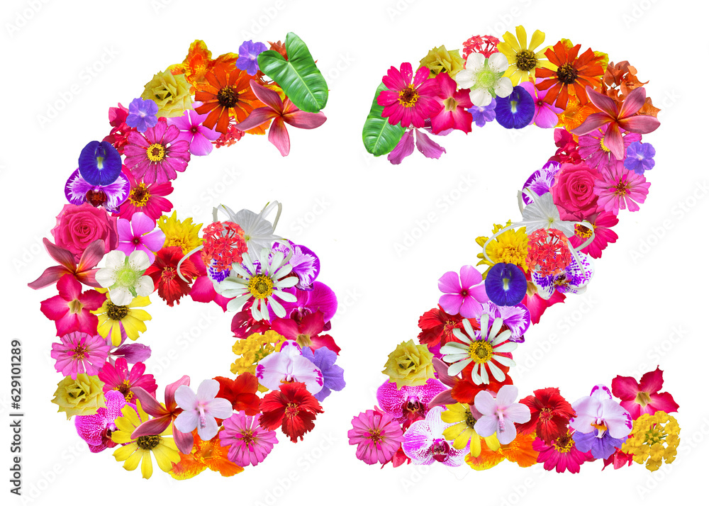The shape of the number 62 is made of various kinds of flowers petals isolated on transparent background. suitable for birthday, anniversary and memorial day templates
