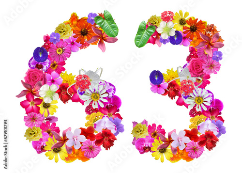 The shape of the number 63 is made of various kinds of flowers petals isolated on transparent background. suitable for birthday, anniversary and memorial day templates