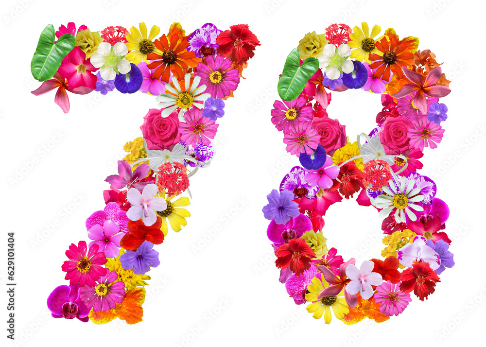 The shape of the number 78 is made of various kinds of flowers petals isolated on transparent background. suitable for birthday, anniversary and memorial day templates The shape of the number 78 is made of various kinds of flowers petals isolated on transparent background. suitable for birthday, anniversary and memorial day templates