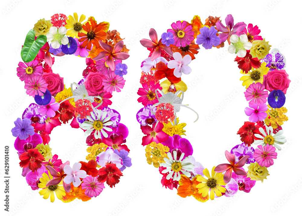 The shape of the number 80 is made of various kinds of flowers petals isolated on transparent background. suitable for birthday, anniversary and memorial day templates, 