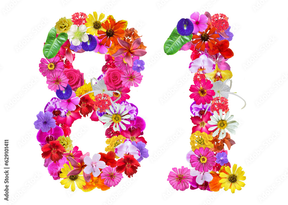 The shape of the number 81 is made of various kinds of flowers petals isolated on transparent background. suitable for birthday, anniversary and memorial day templates The shape of the number 81 is made of various kinds of flowers petals isolated on transparent background. suitable for birthday, anniversary and memorial day templates