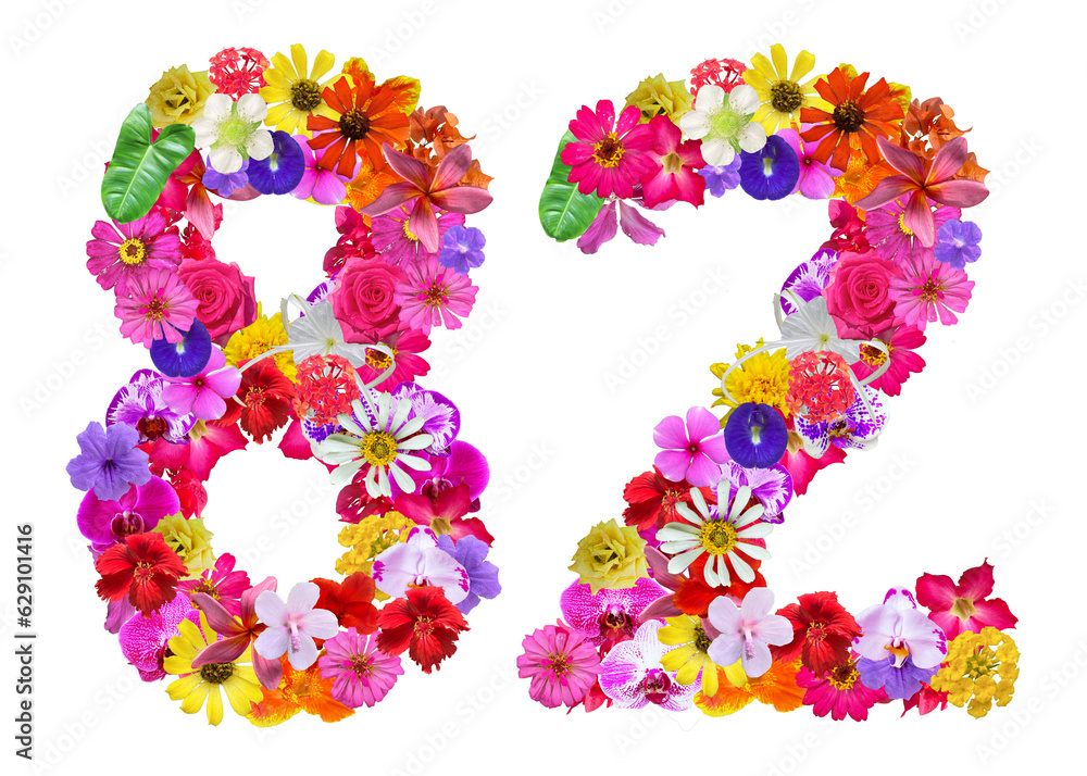 The shape of the number 82 is made of various kinds of flowers petals isolated on transparent background. suitable for birthday, anniversary and memorial day templates