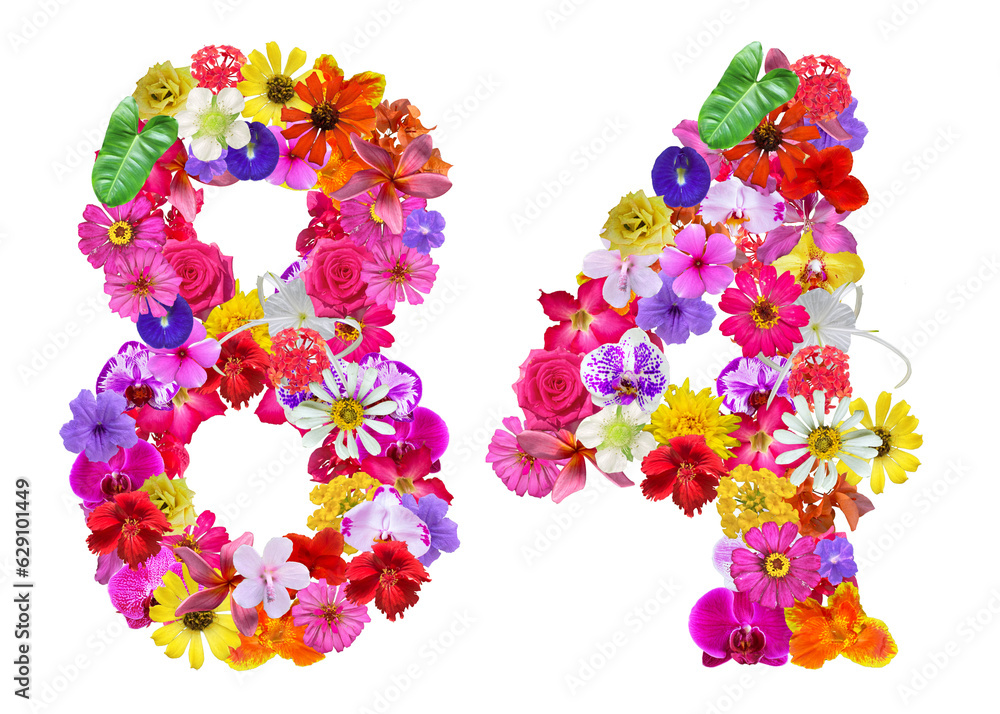 The shape of the number 84 is made of various kinds of flowers petals isolated on transparent background. suitable for birthday, anniversary and memorial day templates