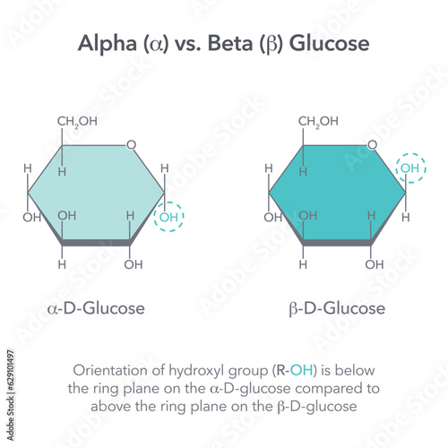 Alpha versus Beta Glucose chemistry vector illustration diagram