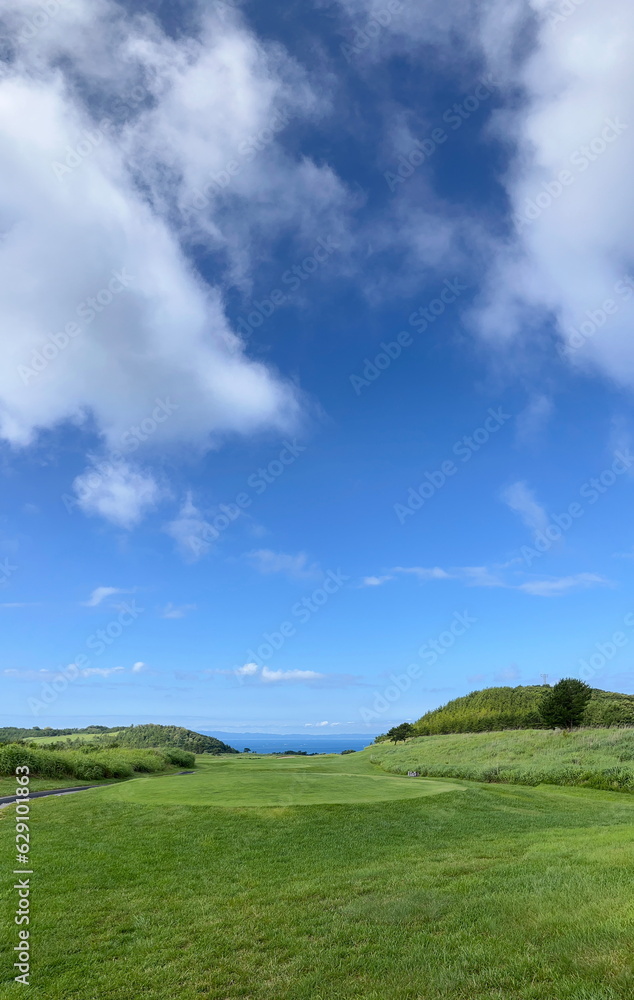 青森の夏