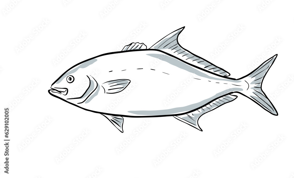 Vecteur Stock Cartoon style drawing sketch illustration of a longfin
