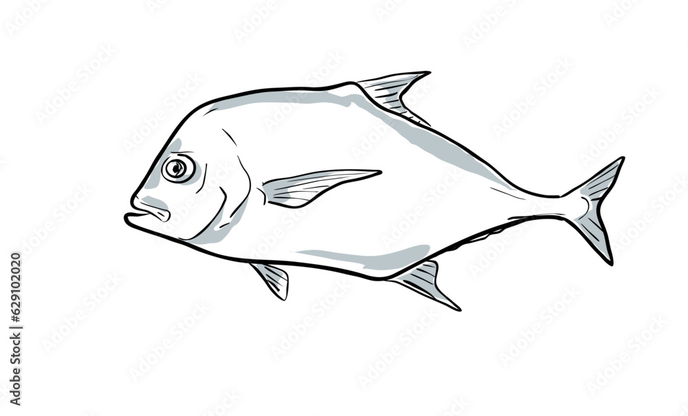 Cartoon style drawing sketch illustration of an African pompano or