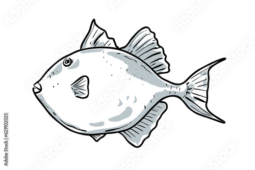 Cartoon style drawing sketch illustration of a Gray Triggerfish, Balistes capriscus, Grey triggerfish, Leatherjacket, Leatherneck, Taly fish of the Gulf of Mexico on isolated white background.
 photo