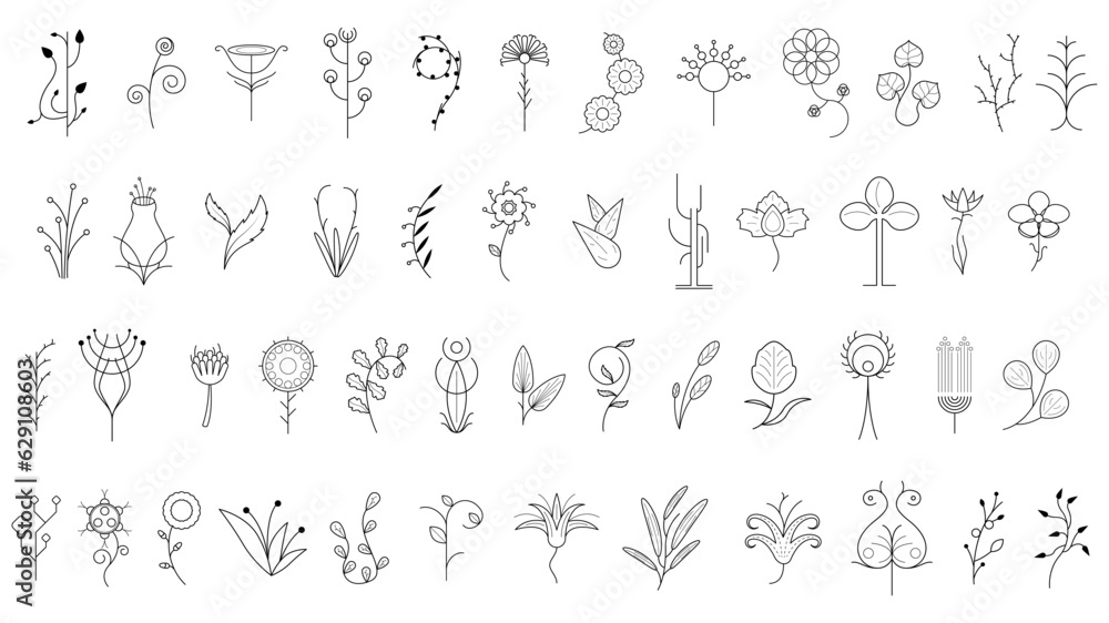Big Abstract Set Doodle Elements Hand Drawn Collection Botanic Herbal Flora Leaf Branch Vine Flower Plant Elements F Vector Desgin Style