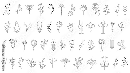 Big Abstract Set Doodle Elements Hand Drawn Collection Botanic Herbal Flora Leaf Branch Vine Flower Plant Elements F Vector Desgin Style © Дмитрий