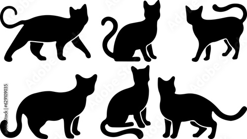 silhouettes of cats