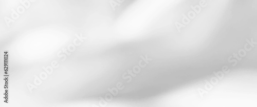 Abstract luxury white gradient background used for display product ad and website template, gray Background gradient light from studio backdrop use us Background.