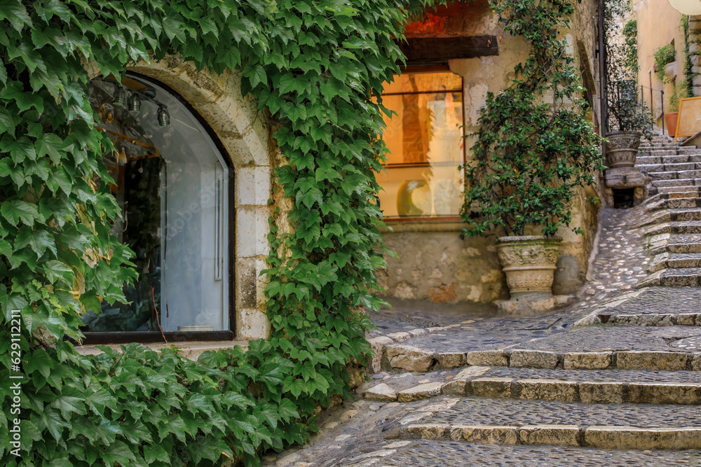 Ivy covered wall of a traditional old stone house in picturesque medieval town of Saint Paul de Vence, French Riviera, South of France Ivy covered wall of a traditional old stone house in picturesque medieval town of Saint Paul de Vence, French Riviera, South of France