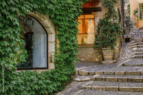 Ivy covered wall of a traditional old stone house in picturesque medieval town of Saint Paul de Vence, French Riviera, South of France