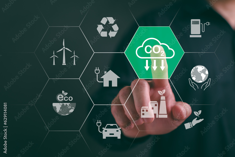 Sustainable development and green business based on renewable energy