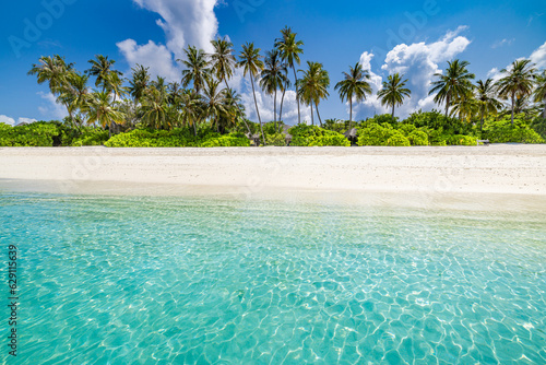 Fototapeta Naklejka Na Ścianę i Meble -  Beautiful tropical beach sea coast. White sand, palm trees, turquoise ocean and blue sky on sunny summer day. Serene landscape background for relaxing vacation. Maldives islands exotic travel paradise
