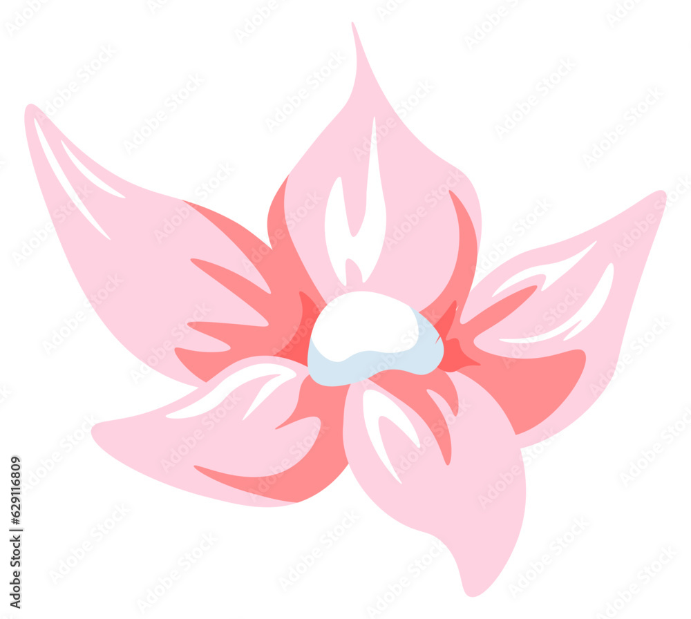 Blooming tropical flower, spring exotic blossom Blooming tropical flower, spring exotic blossom