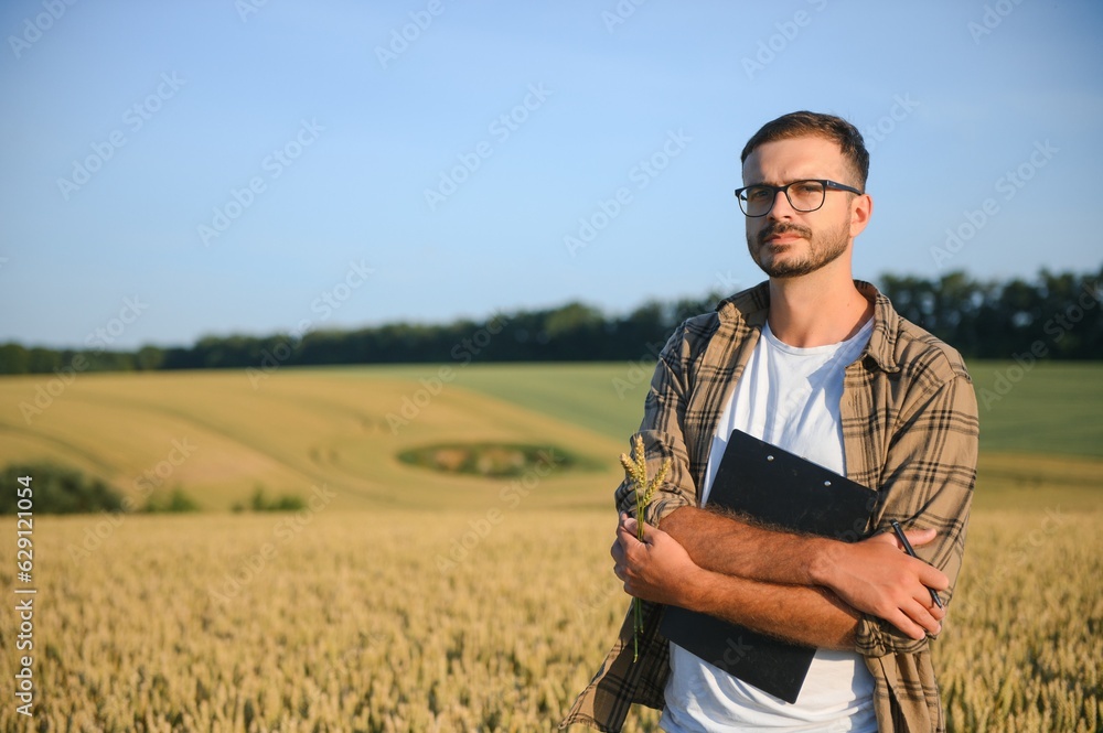 Man farmer in wheat field at sunset. Farming and agricultural harvesting.