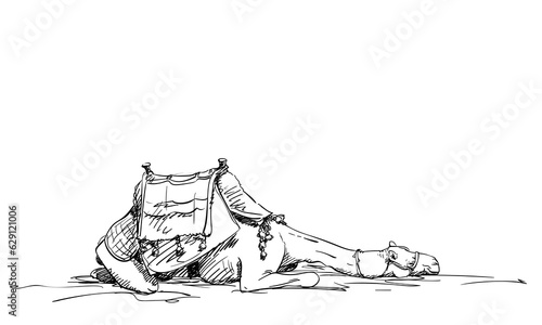 Sketch of tired resting camel with saddle, Desert animal hand drawn illustration