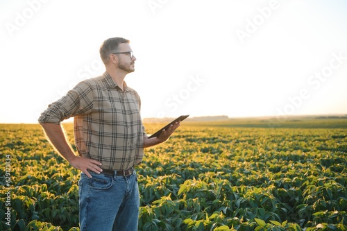 Young handsome agriculture engineer in soybean field with tablet in hands in early summer