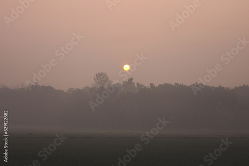 Sunrise in the fog