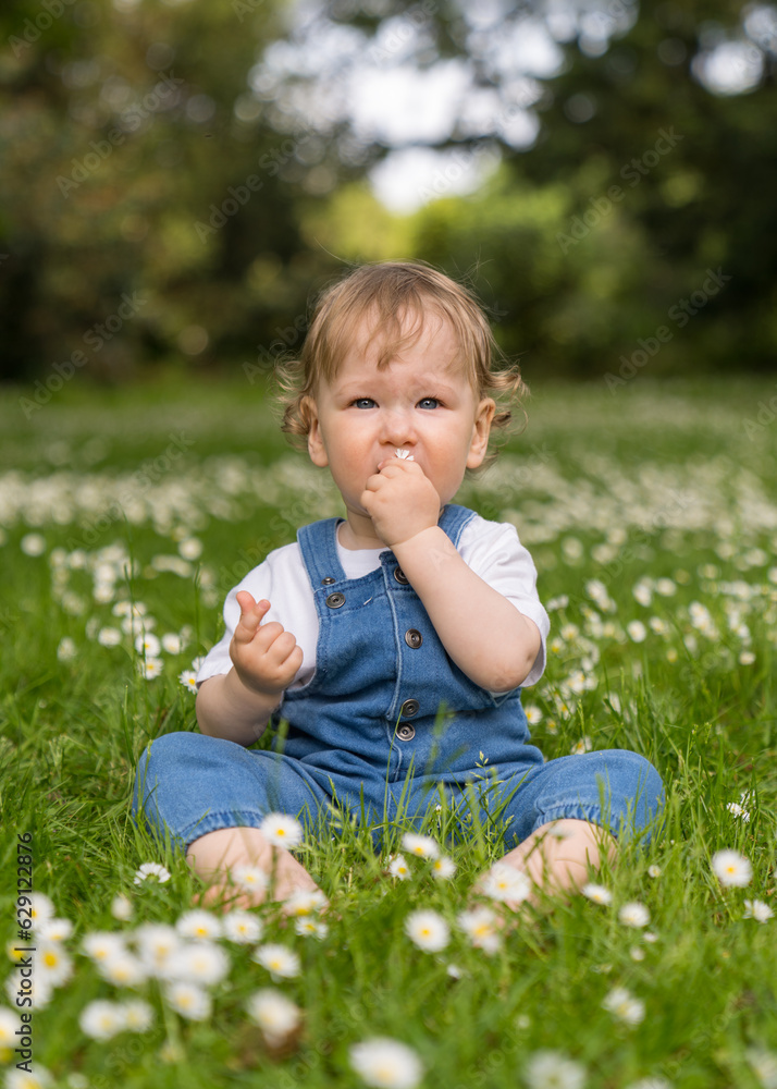 happy, one-year-old baby with blond wavy hair, sits on green grass among many daisies, looks at the camera, holds a flower in his hand. The focus is on the child, the background is blurred. happy, one-year-old baby with blond wavy hair, sits on green grass among many daisies, looks at the camera, holds a flower in his hand. The focus is on the child, the background is blurred.