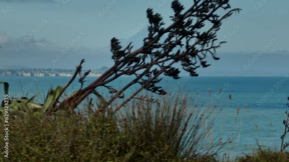 Aerial: Mt Taranaki volcano,  New Zealand
