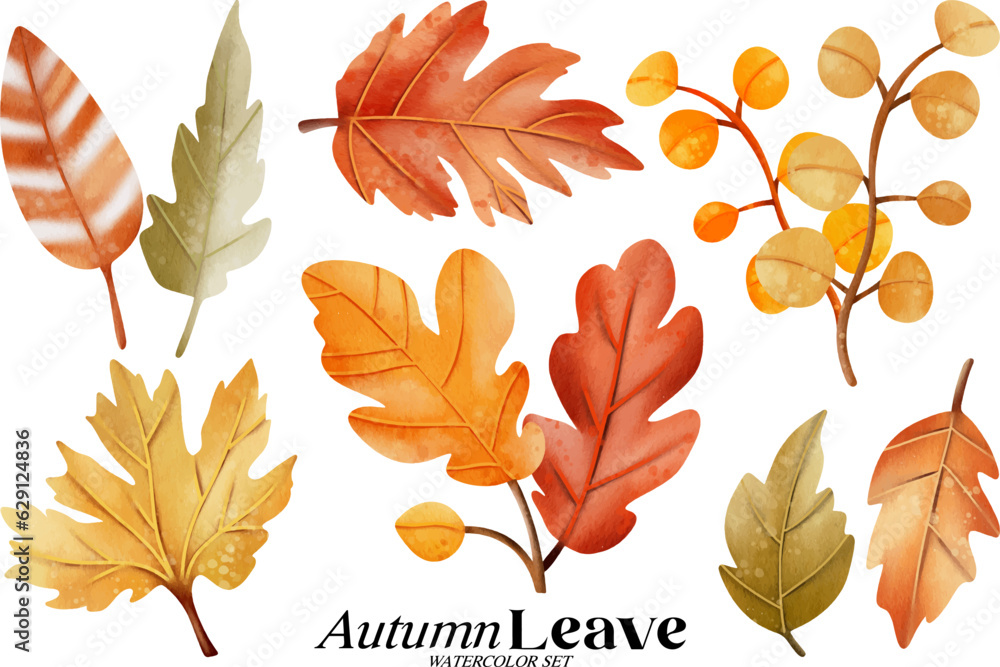 Autumn leave watercolor illustration set