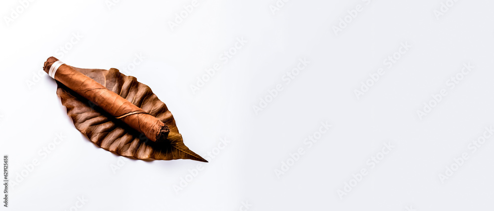A cuban cigar on a tobacco leaf with white background with copy space for text. A cuban cigar on a tobacco leaf with white background with copy space for text.