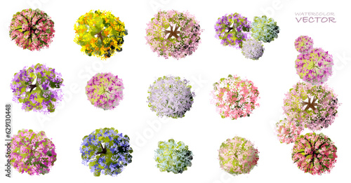 Vector watercolor of blooming tree top view isolated on white background for landscape plan and architecture drawing, elements for environment and garden,botanical elements ,blooming flowers in spring