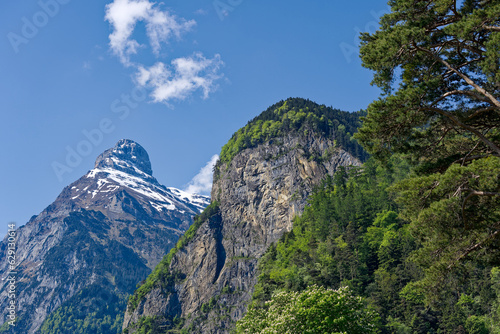 Beautiful mountain panorama with woodland and peak in the Swiss Alps at lakeshore of Lake Lucerne on a sunny spring morning. Photo taken May 22nd, 2023, Flüelen, Switzerland.