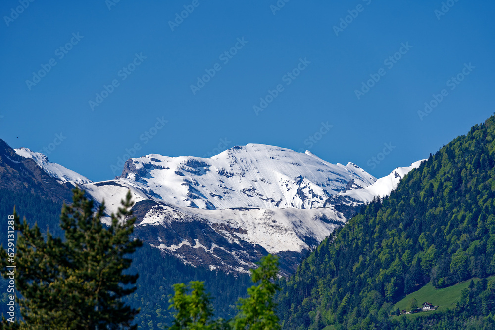 Beautiful mountain panorama with woodland in the Swiss Alps at lakeshore of Lake Uri on a sunny spring morning. Photo taken May 22nd, 2023, Sisikon, Switzerland.