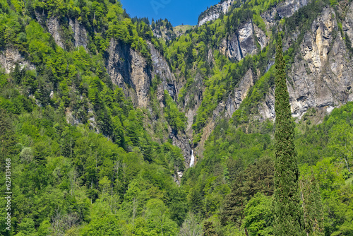 Beautiful mountain panorama with woodland and waterfall in the Swiss Alps at lakeshore of Lake Uri on a sunny spring morning. Photo taken May 22nd, Bauen, Switzerland.