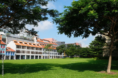 Photography Clear view  public housing on bright sunny day, with lush green public park in S