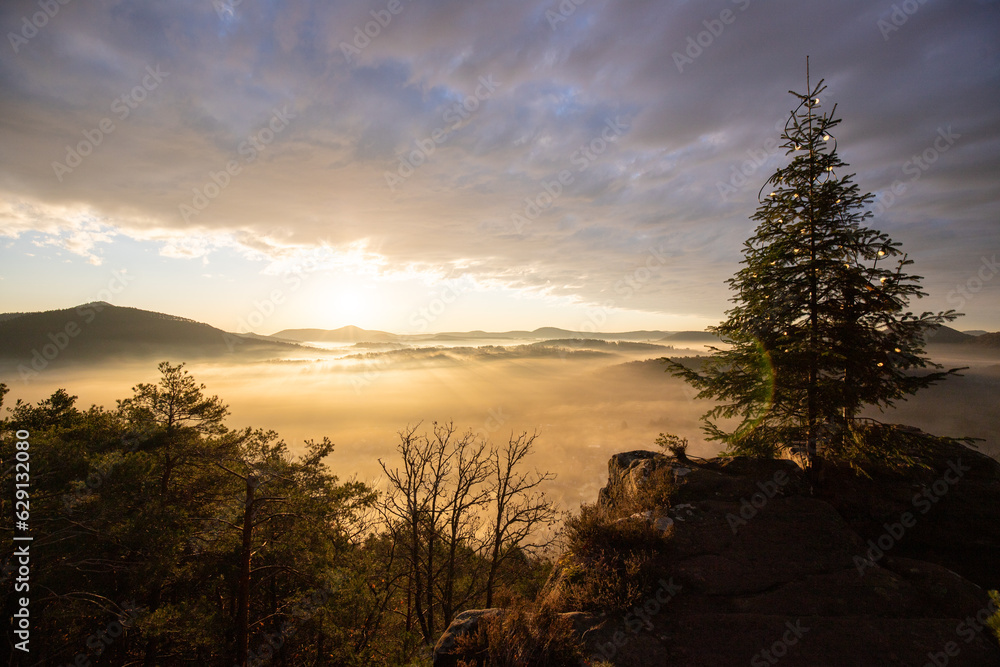 Mystical Sunrise at Wachtfelsen, Palatinate Forest. Captivating landscape shot amidst fog and clouds near Wernersberg, Germany