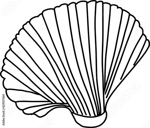 Seashell doodle line art. Doodle coloring page