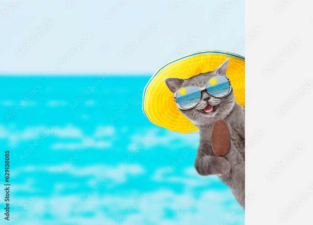 Fototapeta premium Funny cat wearing mirrored sunglasses and summer hat holds ice cream and looks from behind empty white banner. isolated on white background